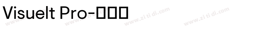 Visuelt Pro字体转换 Visuelt Pro字体转换